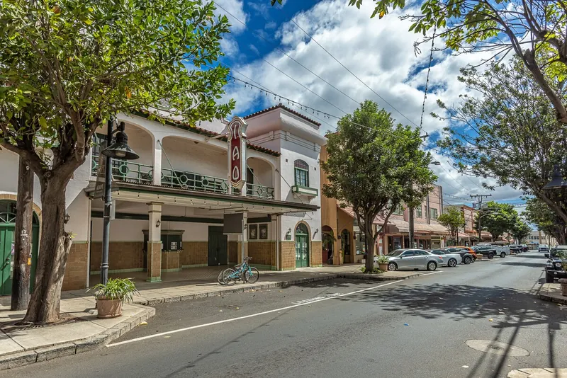 Live shows like Rocky Horror and Shrek: the Musical — Authentic 3BR Duplex, Wailuku