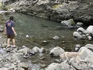 ʻĪao Valley State Monument - photo 3
