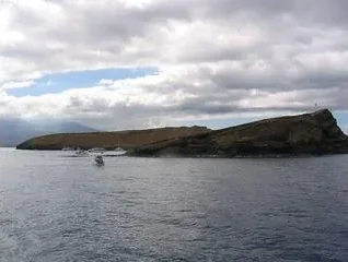 Maui Snorkeling – Molokini Crater - photo 3