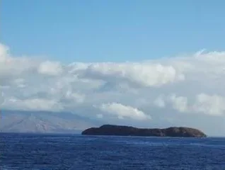 Maui Snorkeling – Molokini Crater - photo 4