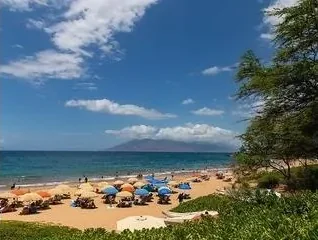 Palauea / White Rock Beach - photo 4