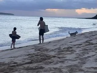Mākena State Park / Big Beach - photo 1