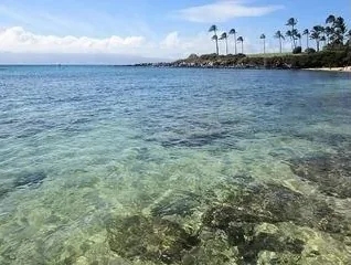 Kapalua Bay - photo 1