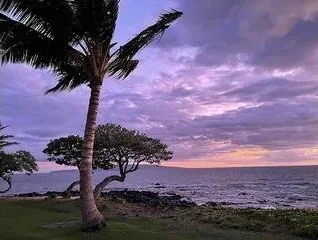 Wailea Village Sunset Market - photo 3