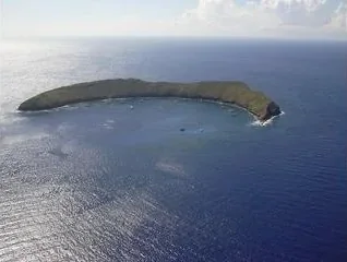 Maui Snorkeling – Captain Greg - photo 2