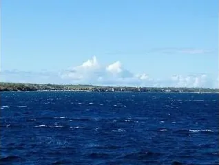 Maui Snorkeling – Captain Greg - photo 3