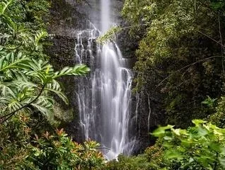 Wailua Falls - photo 1