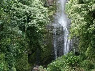 Wailua Falls - photo 3