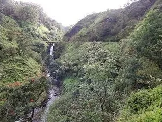Twin Falls - photo 2