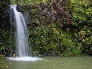 Twin Falls - photo 3