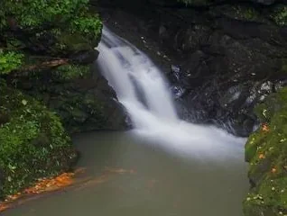 Twin Falls - photo 4