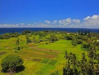 Keʻanae Peninsula + Aunty Sandy’s Banana Bread - photo 3