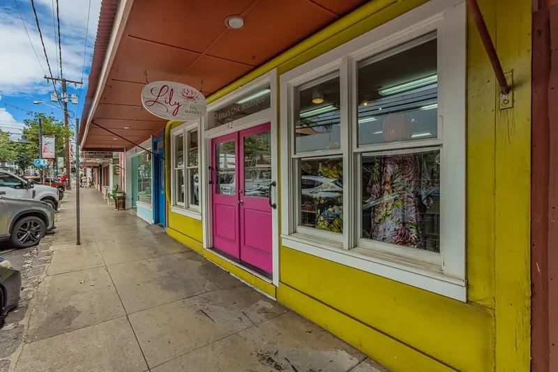 Cute Boutiques nearby — Modern 3BR Home, Wailuku