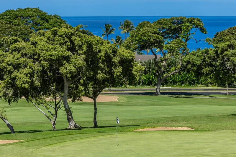 Wailea 3BR Villa, Wailea-Makena Maui vacation rental — photo 11